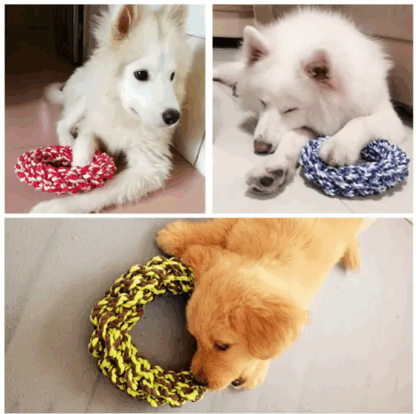 Gyzak Dla Psa Szarpak Sznur Ringo KÓŁko Oponka