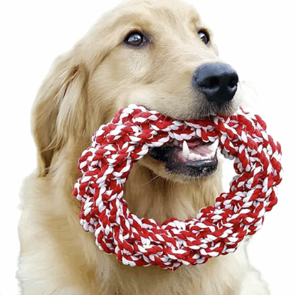 Zabawka Dla Psa Ringo Sznur