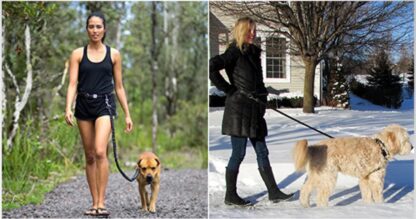 Smycz do biegania z psem joggingu.