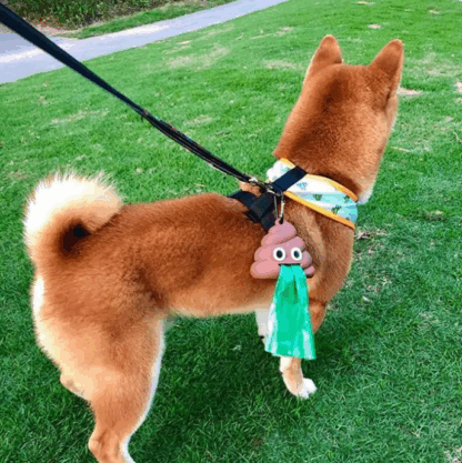 Etui Na Kupoworki Dyspenzer