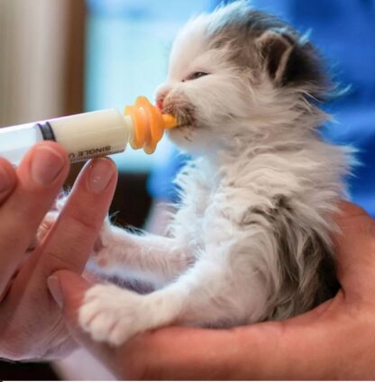 070d080cc6076b705952c5ad1cb267de