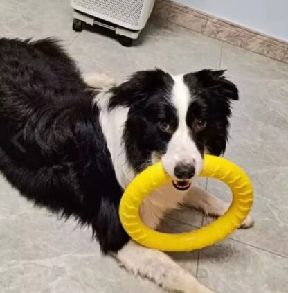 562d52ac891fd48fa9658f9411b32e3c