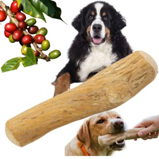 1d2dfb0385934e79d2fac2defa3a2b3e