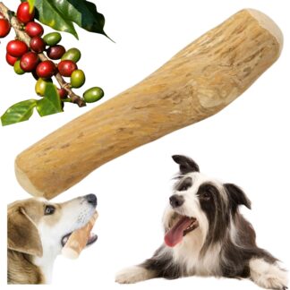 Patyk Z Drzewa Kawowego M