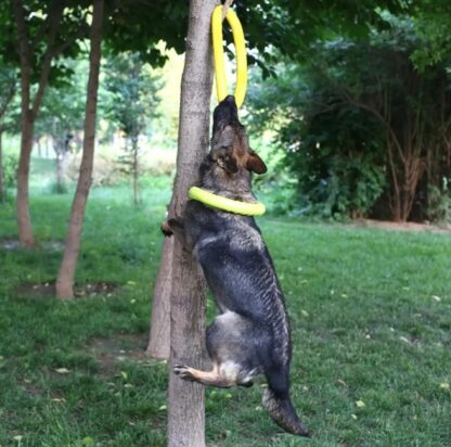 6d9ab47515c2b27a47ea4073b83bba1a