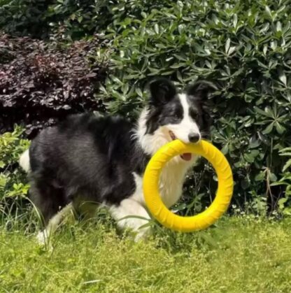 dc08e13abb5189f50d5a5c1e7122a87e