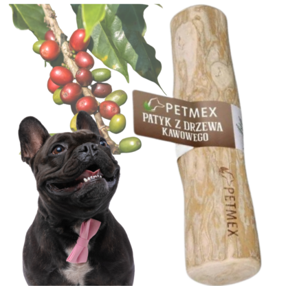 f801b74e4d4f6dc628dec6df31084ede